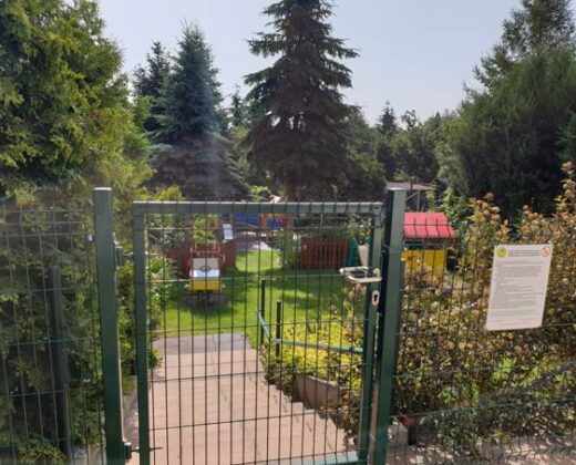 galeria zdjęć Prywatne Przedszkole i Żłobek Kaczka Dziwaczka Poznań - oddział Wilda